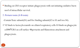 Fdc Rrt Comprehensive Microbiology of Respiratory System Infections and ...