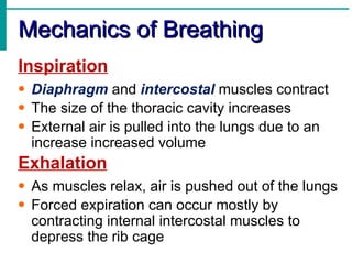 Mechanics of Breathing
Inspiration
• Diaphragm and intercostal muscles contract
• The size of the thoracic cavity increases
• External air is pulled into the lungs due to an
  increase increased volume
Exhalation
• As muscles relax, air is pushed out of the lungs
• Forced expiration can occur mostly by
  contracting internal intercostal muscles to
  depress the rib cage
 