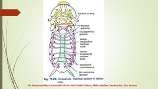 Mr. Shantaram Bhoye, Assistant Professor, Shri Pundlik Maharaj Mahavidyalaya, Nandura Rly., Dist. Buldana
 