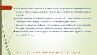 Mr. Shantaram Bhoye, Assistant Professor, Shri Pundlik Maharaj Mahavidyalaya, Nandura Rly., Dist. Buldana
 When active movement takes place, as in running or flying, the metabolic rate is high and the osmotic
pressure of the tissues increases, as a result of these the fluid is withdrawn from the tracheoles into the
body cells.
 In active movement the abdominal segments expand and relax, these movements are termed
respiratory movements and they cause more air to be taken in through the spiracles.
 Respiratory movements are coordinated by nerves in each segment, but these nerves receive impulses
from thoracic ganglia which exercise a controlling influence over all respiratory activities.
 The coordinating centers in thoracic ganglia are stimulated and respond lack of oxygen and also to an
excess of carbon dioxide.
 