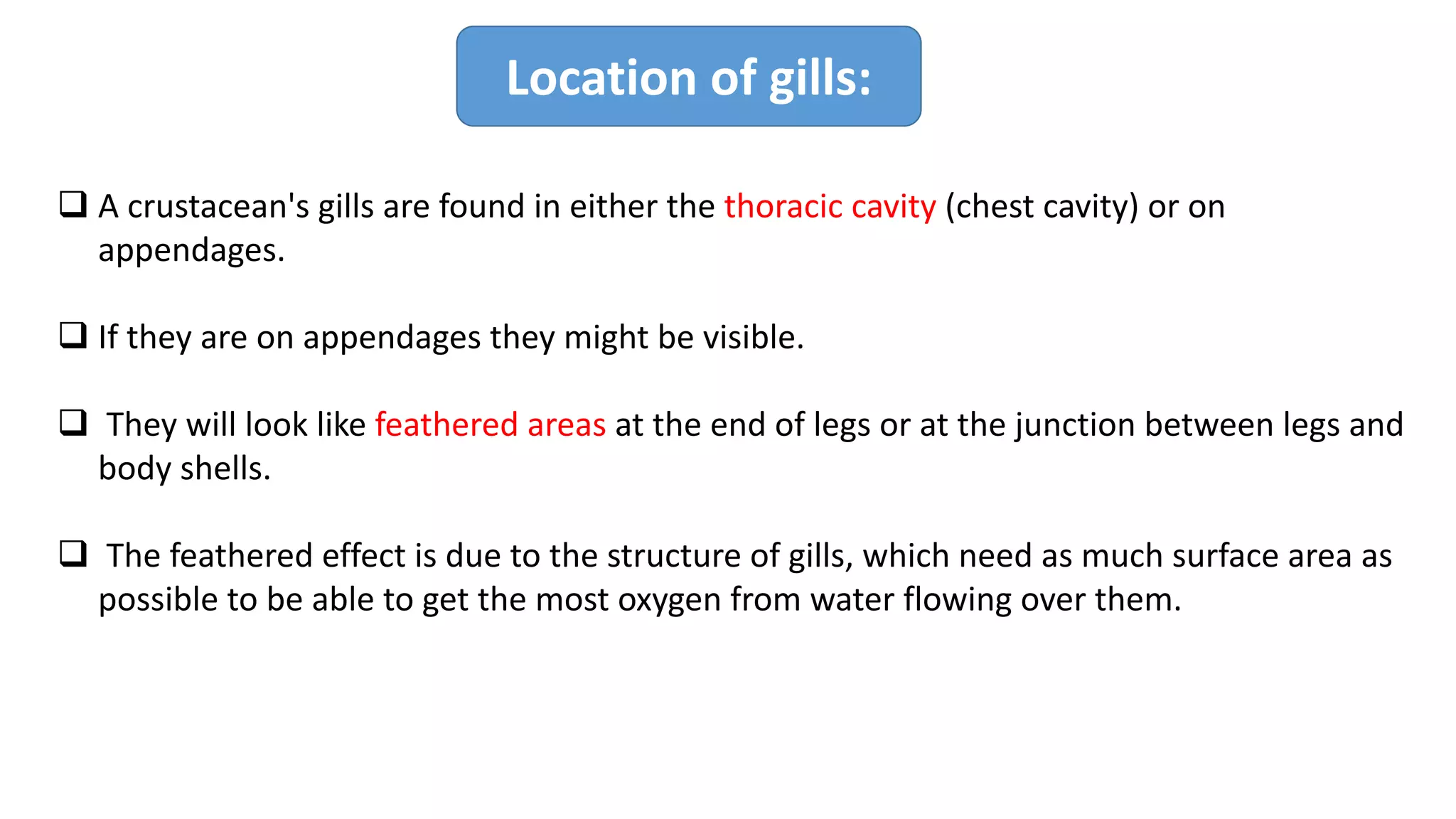 Location of gills:
q A crustacean's gills are found in either the thoracic cavity (chest cavity) or on
appendages.
q If they are on appendages they might be visible.
q They will look like feathered areas at the end of legs or at the junction between legs and
body shells.
q The feathered effect is due to the structure of gills, which need as much surface area as
possible to be able to get the most oxygen from water flowing over them.
 