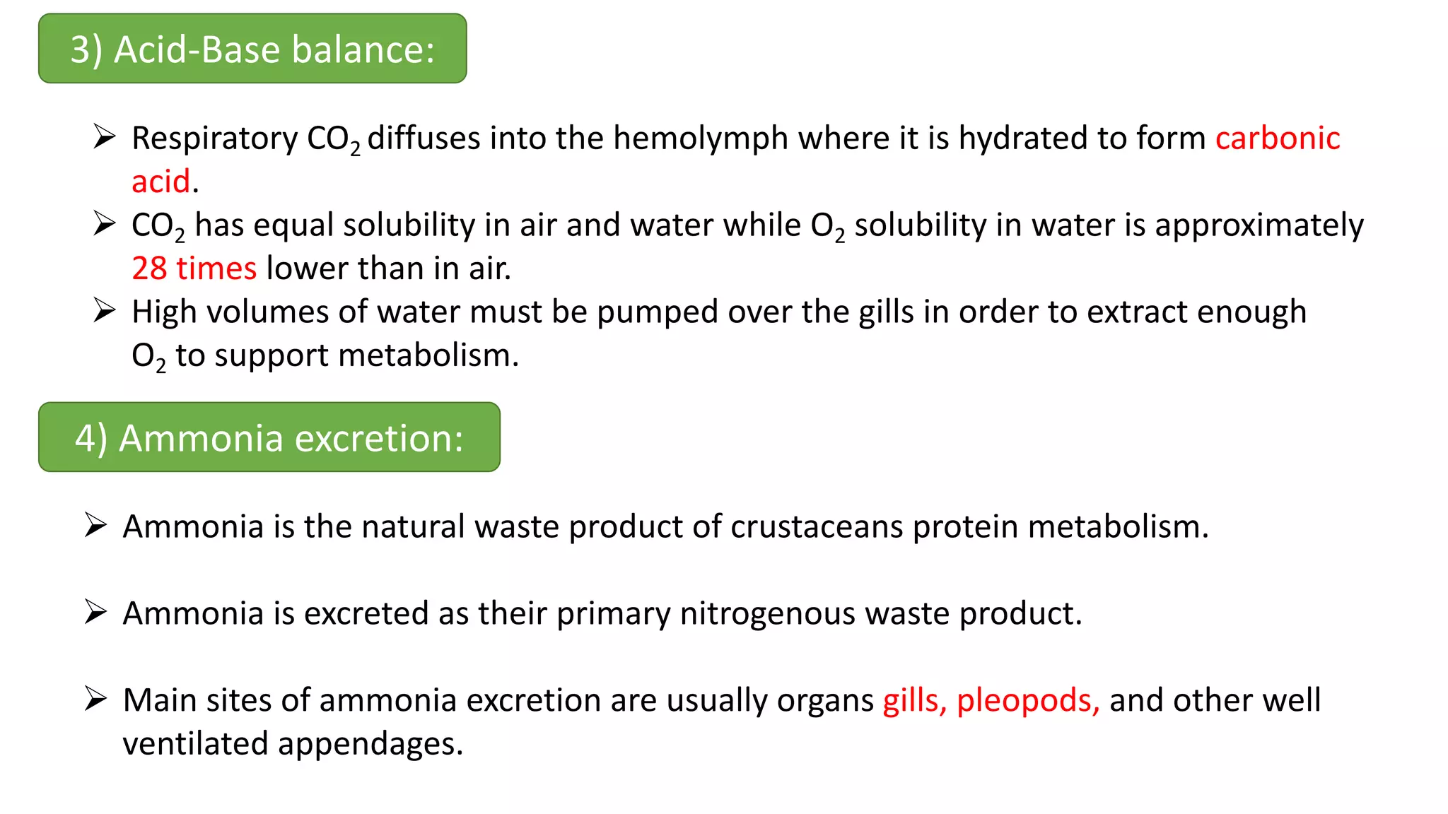 3) Acid-Base balance:
Ø Respiratory CO2 diffuses into the hemolymph where it is hydrated to form carbonic
acid.
Ø CO2 has equal solubility in air and water while O2 solubility in water is approximately
28 times lower than in air.
Ø High volumes of water must be pumped over the gills in order to extract enough
O2 to support metabolism.
4) Ammonia excretion:
Ø Ammonia is the natural waste product of crustaceans protein metabolism.
Ø Ammonia is excreted as their primary nitrogenous waste product.
Ø Main sites of ammonia excretion are usually organs gills, pleopods, and other well
ventilated appendages.
 