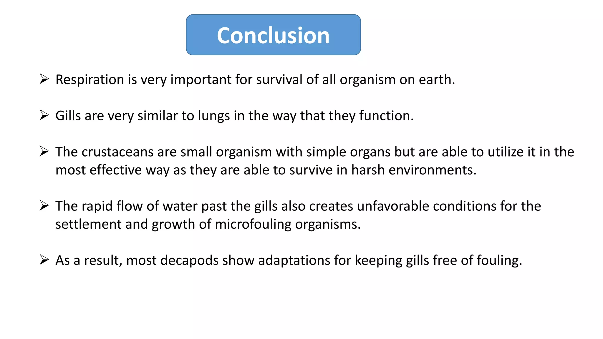 Conclusion
Ø Respiration is very important for survival of all organism on earth.
Ø Gills are very similar to lungs in the way that they function.
Ø The crustaceans are small organism with simple organs but are able to utilize it in the
most effective way as they are able to survive in harsh environments.
Ø The rapid flow of water past the gills also creates unfavorable conditions for the
settlement and growth of microfouling organisms.
Ø As a result, most decapods show adaptations for keeping gills free of fouling.
 