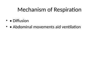 Respiratory_System_of_Insects_Labelled_Diagrams.pptx
