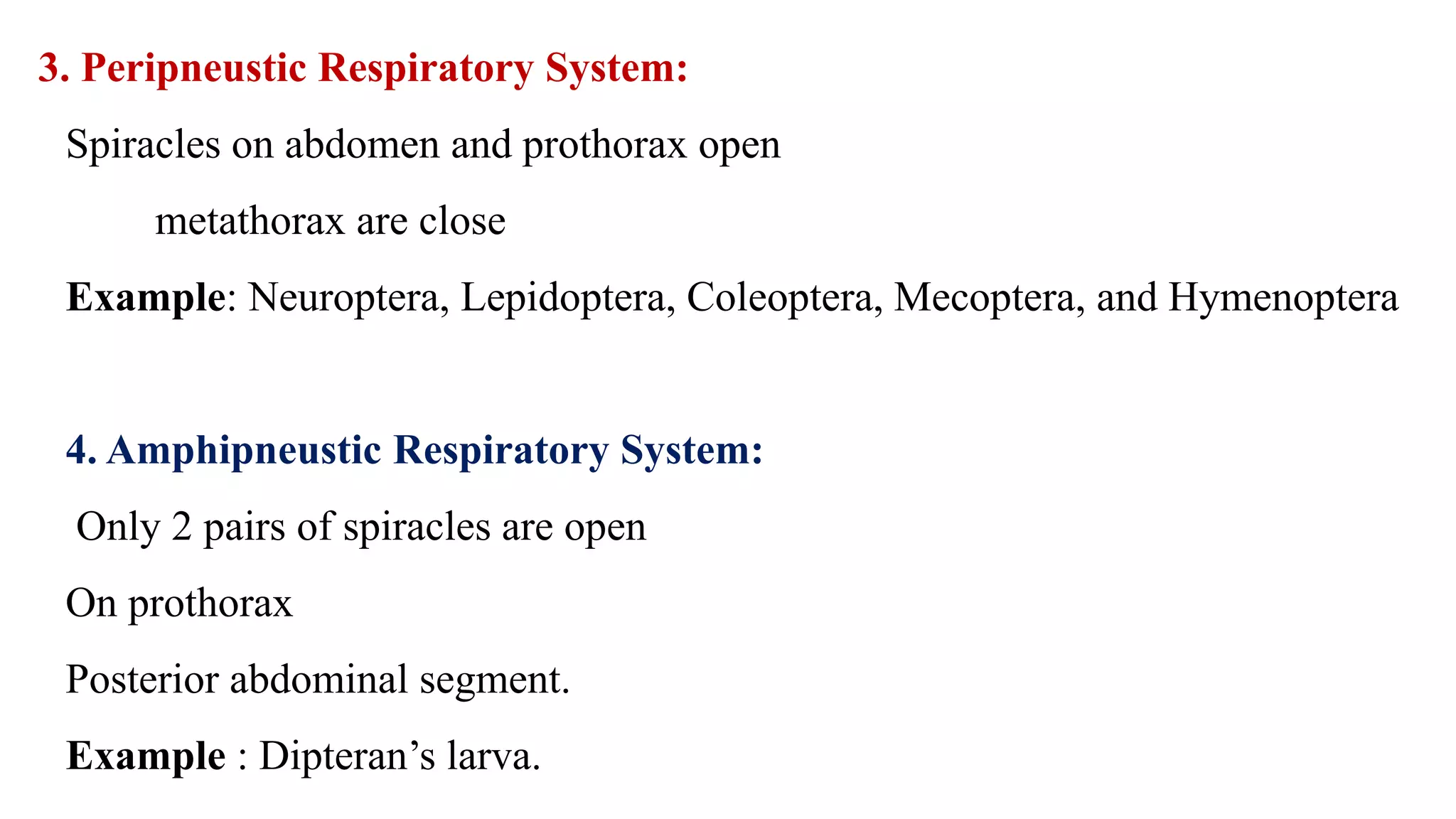 3. Peripneustic Respiratory System:
Spiracles on abdomen and prothorax open
metathorax are close
Example: Neuroptera, Lepidoptera, Coleoptera, Mecoptera, and Hymenoptera
4. Amphipneustic Respiratory System:
Only 2 pairs of spiracles are open
On prothorax
Posterior abdominal segment.
Example : Dipteran’s larva.
 