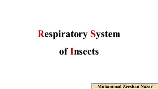 Respiratory System
of Insects
Muhammad Zeeshan Nazar
 