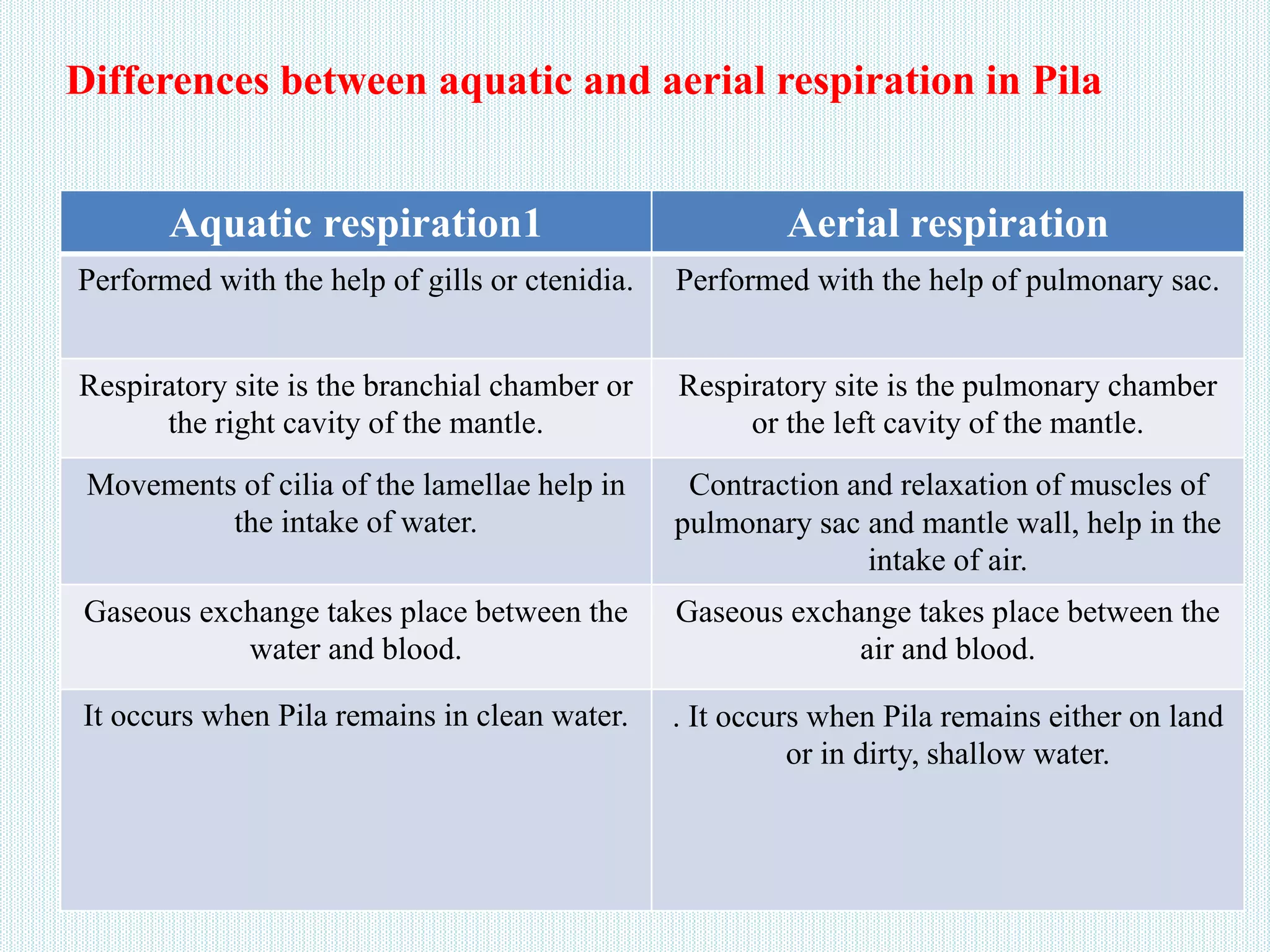 Differences between aquatic and aerial respiration in Pila
Aquatic respiration1 Aerial respiration
Performed with the help of gills or ctenidia. Performed with the help of pulmonary sac.
Respiratory site is the branchial chamber or
the right cavity of the mantle.
Respiratory site is the pulmonary chamber
or the left cavity of the mantle.
Movements of cilia of the lamellae help in
the intake of water.
Contraction and relaxation of muscles of
pulmonary sac and mantle wall, help in the
intake of air.
Gaseous exchange takes place between the
water and blood.
Gaseous exchange takes place between the
air and blood.
It occurs when Pila remains in clean water. . It occurs when Pila remains either on land
or in dirty, shallow water.
 