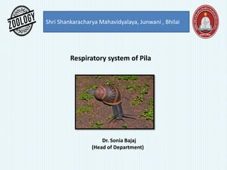 Shri Shankaracharya Mahavidyalaya, Junwani , Bhilai
Respiratory system of Pila
Dr. Sonia Bajaj
(Head of Department)
 