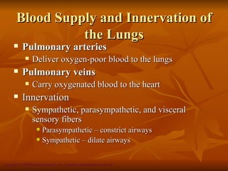 Blood Supply and Innervation of
                  the Lungs
           Pulmonary arteries
                 Deliver oxygen-poor blood to the lungs
           Pulmonary veins
                 Carry oxygenated blood to the heart
           Innervation
                 Sympathetic, parasympathetic, and visceral
                  sensory fibers
                        Parasympathetic – constrict airways
                        Sympathetic – dilate airways


Copyright © 2008 Pearson Education, Inc., publishing as Benjamin Cummings
 
