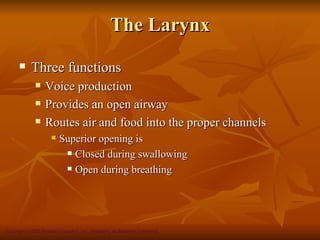 The Larynx
           Three functions
                 Voice production
                 Provides an open airway
                 Routes air and food into the proper channels
                        Superior opening is
                           Closed during swallowing

                           Open during breathing




Copyright © 2008 Pearson Education, Inc., publishing as Benjamin Cummings
 
