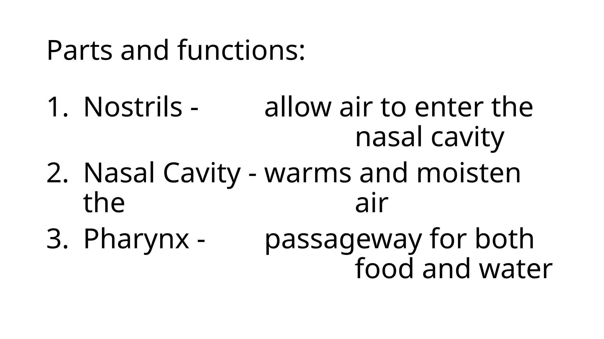 Respiratory system intelligence overview