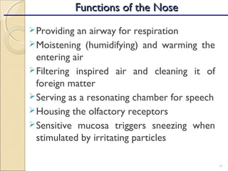 10
Providing an airway for respiration
Moistening (humidifying) and warming the
entering air
Filtering inspired air and cleaning it of
foreign matter
Serving as a resonating chamber for speech
Housing the olfactory receptors
Sensitive mucosa triggers sneezing when
stimulated by irritating particles
Functions of the NoseFunctions of the Nose
 