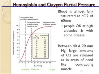 Hemoglobin and Oxygen Partial PressureHemoglobin and Oxygen Partial Pressure
Blood is almost fully
saturated at pO2 of
60mm
◦ people OK at high
altitudes & with
some disease
Between 40 & 20 mm
Hg, large amounts
of O2 are released
as in areas of need
like contracting
muscle 103
lungsmuscle tissues
 