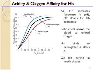 Acidity & Oxygen Affinity for HbAcidity & Oxygen Affinity for Hb
105
As H+ increases
(decrease in pH),
O2 affinity for Hb
decreases
Bohr effect allows the
blood to unload
oxygen
H+ binds to
hemoglobin & alters
it
O2 left behind in
needy tissues
 