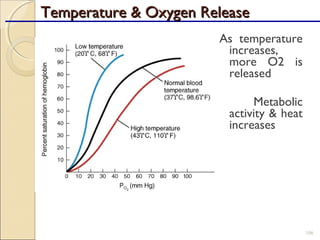 Temperature & Oxygen ReleaseTemperature & Oxygen Release
106
As temperature
increases,
more O2 is
released
Metabolic
activity & heat
increases
 