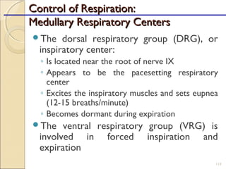 Control of Respiration:Control of Respiration:
Medullary Respiratory CentersMedullary Respiratory Centers
The dorsal respiratory group (DRG), or
inspiratory center:
◦ Is located near the root of nerve IX
◦ Appears to be the pacesetting respiratory
center
◦ Excites the inspiratory muscles and sets eupnea
(12-15 breaths/minute)
◦ Becomes dormant during expiration
The ventral respiratory group (VRG) is
involved in forced inspiration and
expiration
118
 