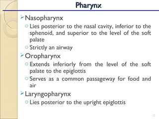 Nasopharynx
o Lies posterior to the nasal cavity, inferior to the
sphenoid, and superior to the level of the soft
palate
o Strictly an airway
Oropharynx
o Extends inferiorly from the level of the soft
palate to the epiglottis
o Serves as a common passageway for food and
air
Laryngopharynx
o Lies posterior to the upright epiglottis
12
PharynxPharynx
 