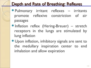 Depth and Rate of Breathing: ReflexesDepth and Rate of Breathing: Reflexes
Pulmonary irritant reflexes – irritants
promote reflexive constriction of air
passages
Inflation reflex (Hering-Breuer) – stretch
receptors in the lungs are stimulated by
lung inflation
Upon inflation, inhibitory signals are sent to
the medullary inspiration center to end
inhalation and allow expiration
124
 