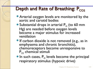 Depth and Rate of Breathing: PDepth and Rate of Breathing: PCO2CO2
Arterial oxygen levels are monitored by the
aortic and carotid bodies
Substantial drops in arterial PO2 (to 60 mm
Hg) are needed before oxygen levels
become a major stimulus for increased
ventilation
If carbon dioxide is not removed (e.g., as in
emphysema and chronic bronchitis),
chemoreceptors become unresponsive to
PCO2 chemical stimuli
In such cases, PO2 levels become the principal
respiratory stimulus (hypoxic drive)
Chapter 22, Respiratory System 129
 