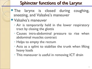 The larynx is closed during coughing,
sneezing, and Valsalva’s maneuver
Valsalva’s maneuver
◦ Air is temporarily held in the lower respiratory
tract by closing the glottis
◦ Causes intra-abdominal pressure to rise when
abdominal muscles contract
◦ Helps to empty the rectum
◦ Acts as a splint to stabilize the trunk when lifting
heavy loads
◦ This maneuver is useful in removing ICT drain
14
Sphincter functions of the LarynxSphincter functions of the Larynx
 