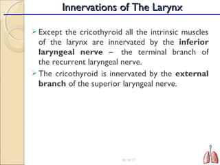  Except the cricothyroid all the intrinsic muscles
of the larynx are innervated by the inferior
laryngeal nerve –  the terminal branch of
the recurrent laryngeal nerve.
 The cricothyroid is innervated by the external
branch of the superior laryngeal nerve.
08/18/17 19
Innervations of The LarynxInnervations of The Larynx
 