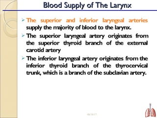  The superior and inferior laryngeal arteries
supply the majority of blood to the larynx.
 The superior laryngeal artery originates from
the superior thyroid branch of the external
carotid artery
 The inferior laryngeal artery originates from the
inferior thyroid branch of the thyrocervical
trunk, which is a branch of the subclavian artery.
08/18/17 22
Blood Supply of The LarynxBlood Supply of The Larynx
 