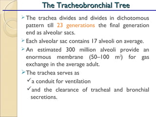  The trachea divides and divides in dichotomous
pattern till 23 generations the final generation
end as alveolar sacs.
 Each alveolar sac contains 17 alveoli on average.
 An estimated 300 million alveoli provide an
enormous membrane (50–100 m2
) for gas
exchange in the average adult.
The trachea serves as
a conduit for ventilation
and the clearance of tracheal and bronchial
secretions.
The Tracheobronchial TreeThe Tracheobronchial Tree
 