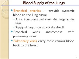 Bronchial arteries – provide systemic
blood to the lung tissue
◦ Arise from aorta and enter the lungs at the
hilus
◦ Supply all lung tissue except the alveoli
Bronchial veins anastomose with
pulmonary veins
Pulmonary veins carry most venous blood
back to the heart
38
Blood Supply of the LungsBlood Supply of the Lungs
 