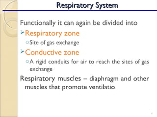 Functionally it can again be divided into
Respiratory zone
oSite of gas exchange
Conductive zone
oA rigid conduits for air to reach the sites of gas
exchange
Respiratory muscles – diaphragm and other
muscles that promote ventilatio
4
Respiratory SystemRespiratory System
 