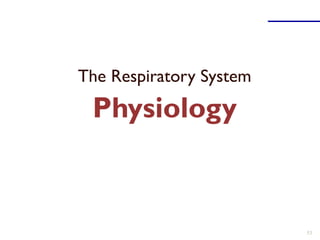 The Respiratory System
Physiology
53
 