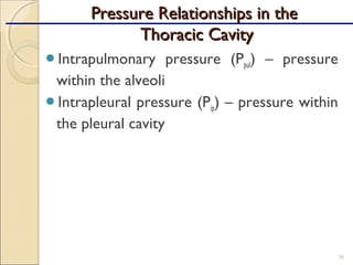 Intrapulmonary pressure (Ppul) – pressure
within the alveoli
Intrapleural pressure (Pip) – pressure within
the pleural cavity
56
Pressure Relationships in thePressure Relationships in the
Thoracic CavityThoracic Cavity
 