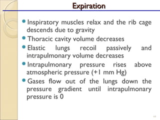 Inspiratory muscles relax and the rib cage
descends due to gravity
Thoracic cavity volume decreases
Elastic lungs recoil passively and
intrapulmonary volume decreases
Intrapulmonary pressure rises above
atmospheric pressure (+1 mm Hg)
Gases flow out of the lungs down the
pressure gradient until intrapulmonary
pressure is 0
64
ExpirationExpiration
 