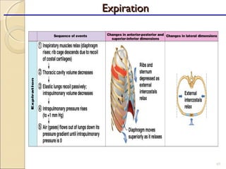 65
ExpirationExpiration
 