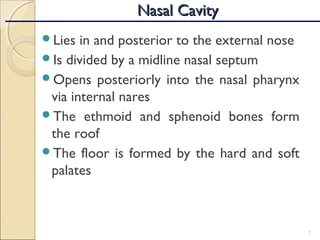 Lies in and posterior to the external nose
Is divided by a midline nasal septum
Opens posteriorly into the nasal pharynx
via internal nares
The ethmoid and sphenoid bones form
the roof
The floor is formed by the hard and soft
palates
7
Nasal CavityNasal Cavity
 