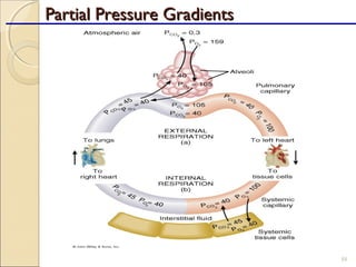 88
Partial Pressure GradientsPartial Pressure Gradients
 