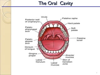 9
The Oral CavityThe Oral Cavity
 