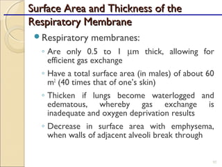 Surface Area and Thickness of theSurface Area and Thickness of the
Respiratory MembraneRespiratory Membrane
Respiratory membranes:
◦ Are only 0.5 to 1 µm thick, allowing for
efficient gas exchange
◦ Have a total surface area (in males) of about 60
m2
(40 times that of one’s skin)
◦ Thicken if lungs become waterlogged and
edematous, whereby gas exchange is
inadequate and oxygen deprivation results
◦ Decrease in surface area with emphysema,
when walls of adjacent alveoli break through
92
 