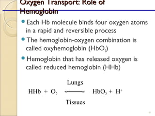 Oxygen Transport: Role ofOxygen Transport: Role of
HemoglobinHemoglobin
Each Hb molecule binds four oxygen atoms
in a rapid and reversible process
The hemoglobin-oxygen combination is
called oxyhemoglobin (HbO2)
Hemoglobin that has released oxygen is
called reduced hemoglobin (HHb)
95
HHb + O2
Lungs
Tissues
HbO2 + H+
 