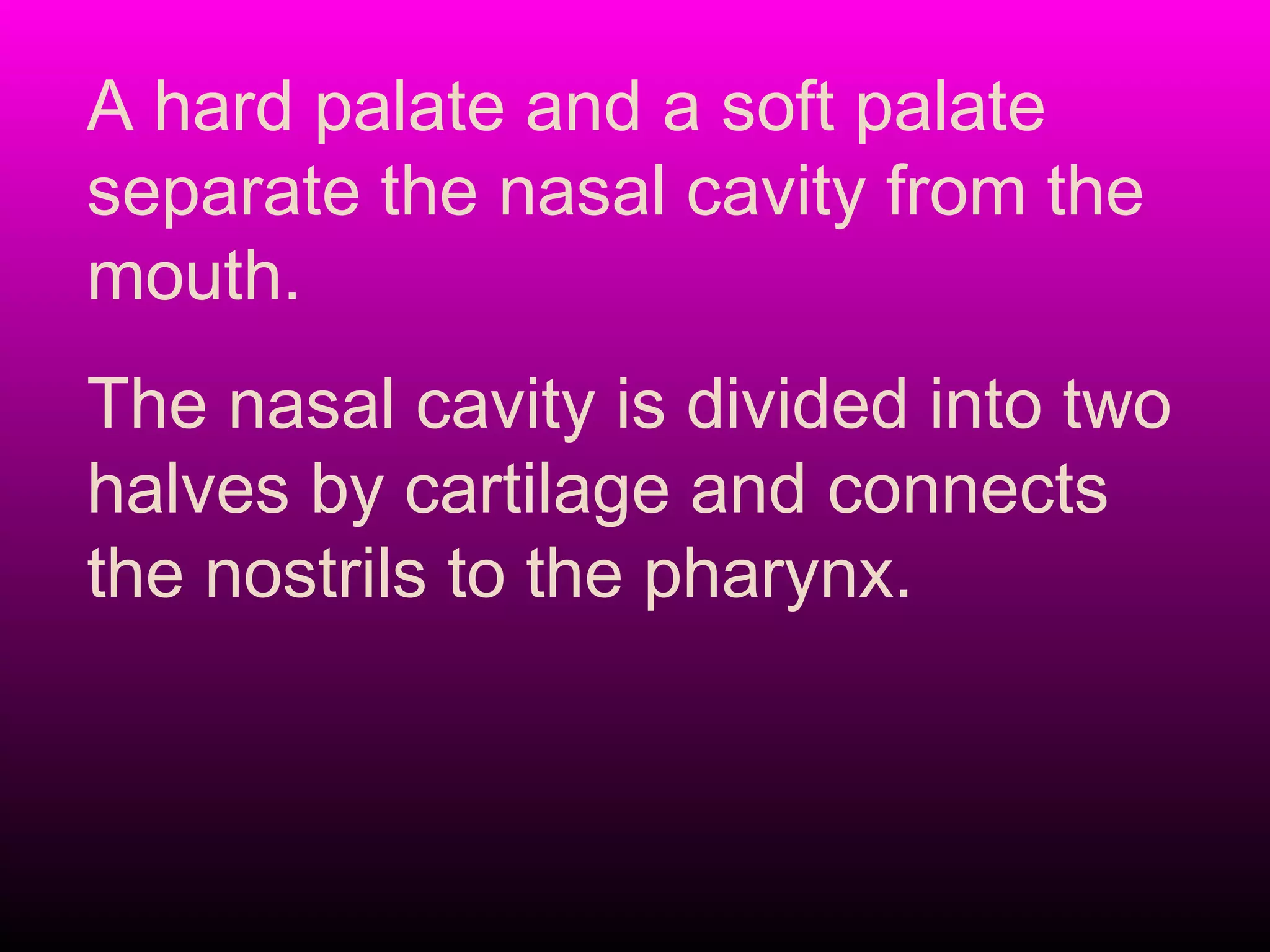 A hard palate and a soft palate
separate the nasal cavity from the
mouth.
The nasal cavity is divided into two
halves by cartilage and connects
the nostrils to the pharynx.
 