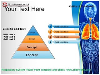 Respiratory System Powerpoint Template | PPTX
