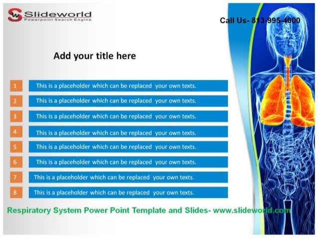 respiratory system powerpoint