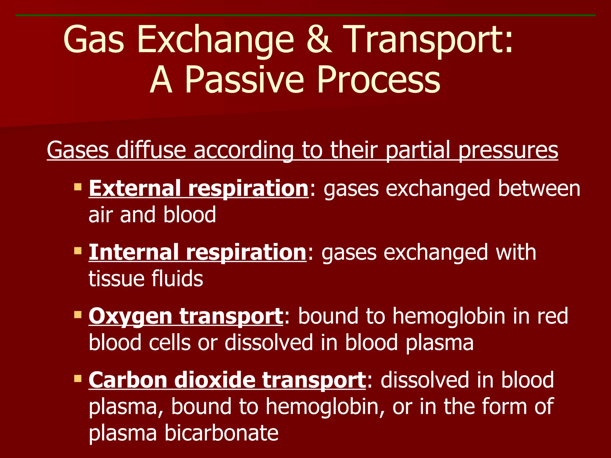 Gases diffuse according to their partial pressures External respiration : gases exchanged between air and blood Internal respiration : gases exchanged with tissue fluids Oxygen transport : bound to hemoglobin in red blood cells or dissolved in blood plasma Carbon dioxide transport : dissolved in blood plasma, bound to hemoglobin, or in the form of plasma bicarbonate Gas Exchange & Transport:  A Passive Process 
