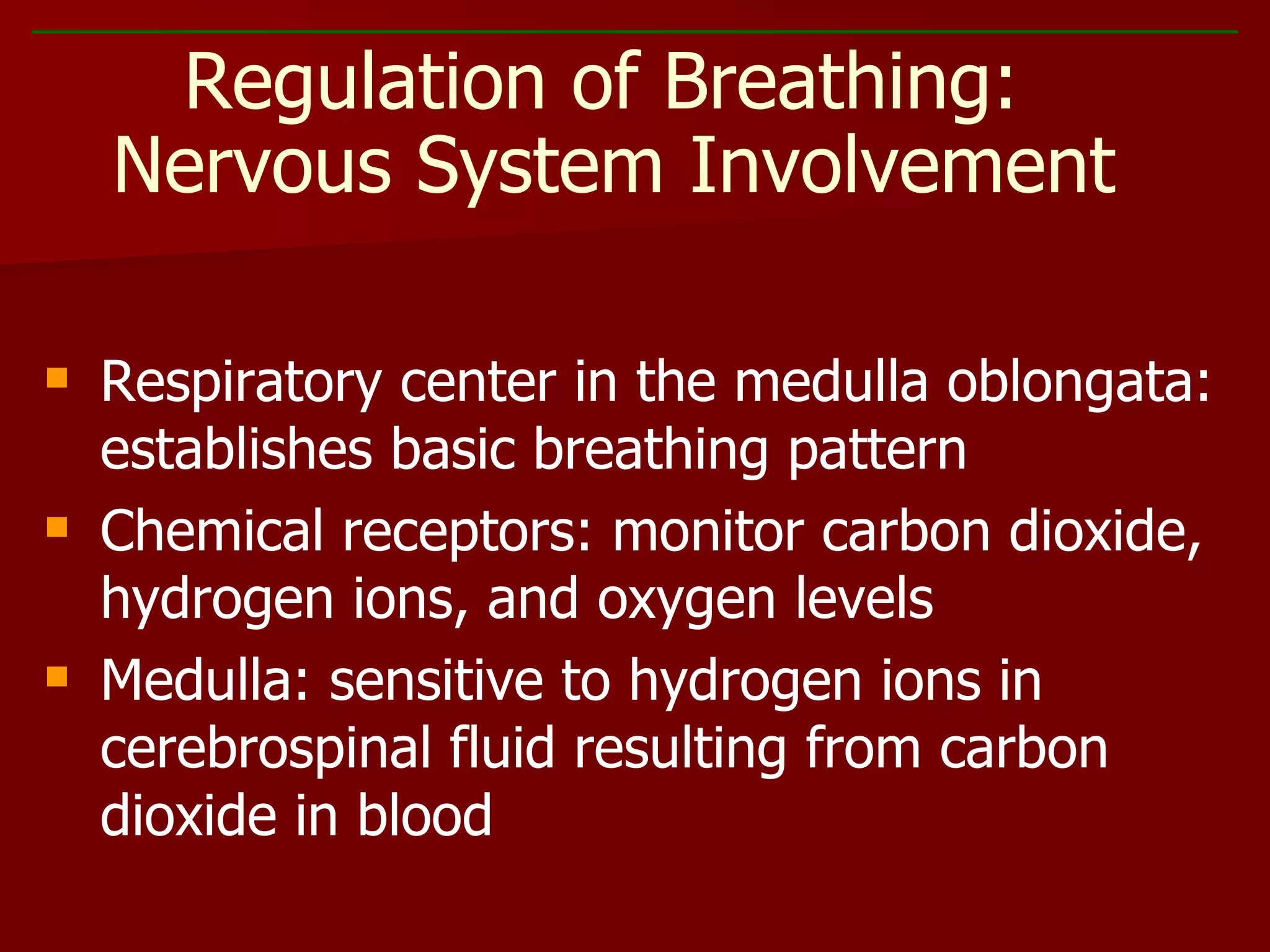 Respiratory center in the medulla oblongata: establishes basic breathing pattern Chemical receptors: monitor carbon dioxide, hydrogen ions, and oxygen levels Medulla: sensitive to hydrogen ions in cerebrospinal fluid resulting from carbon dioxide in blood Regulation of Breathing:  Nervous System Involvement 