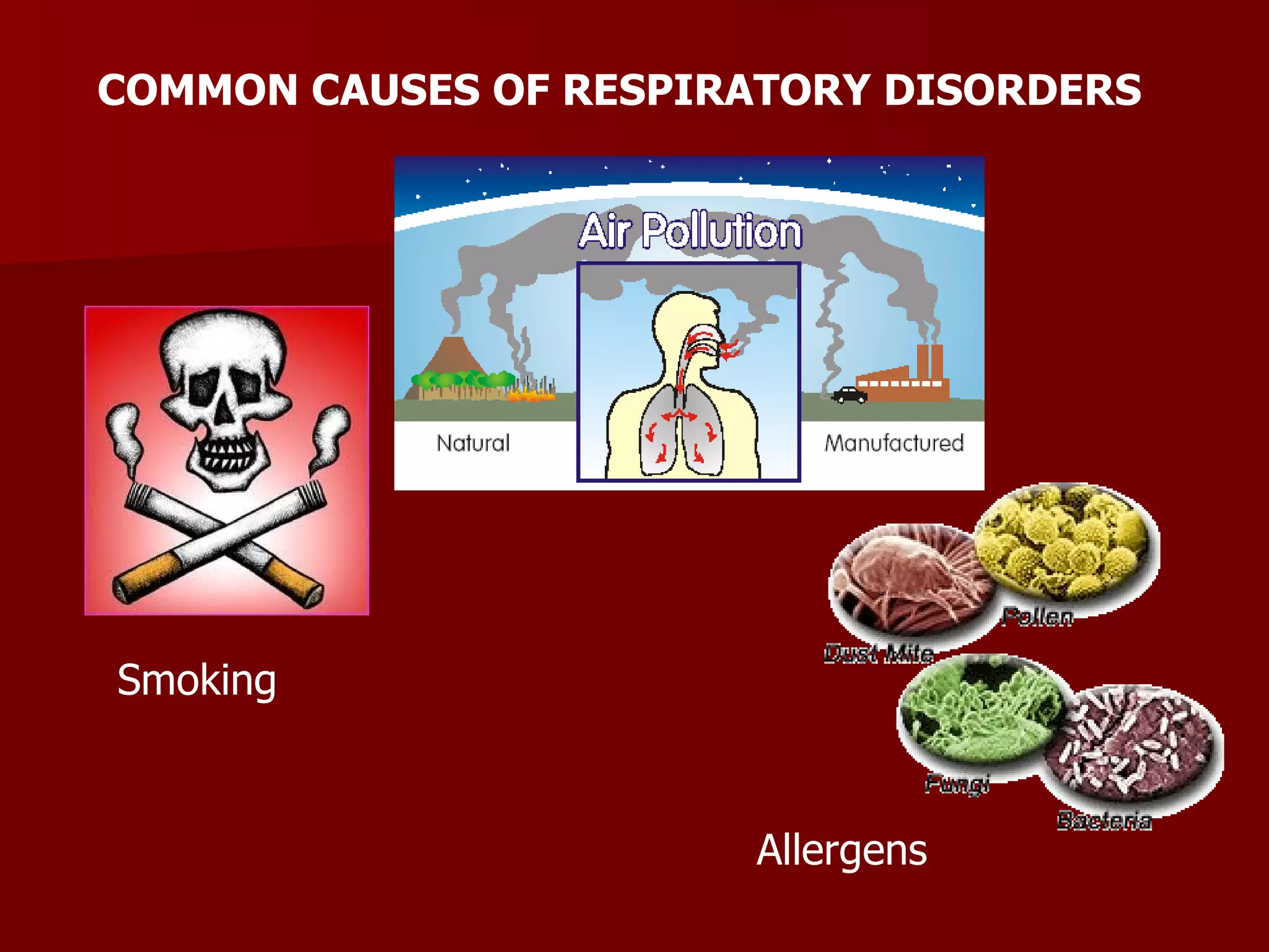 COMMON CAUSES OF RESPIRATORY DISORDERS Smoking Allergens 