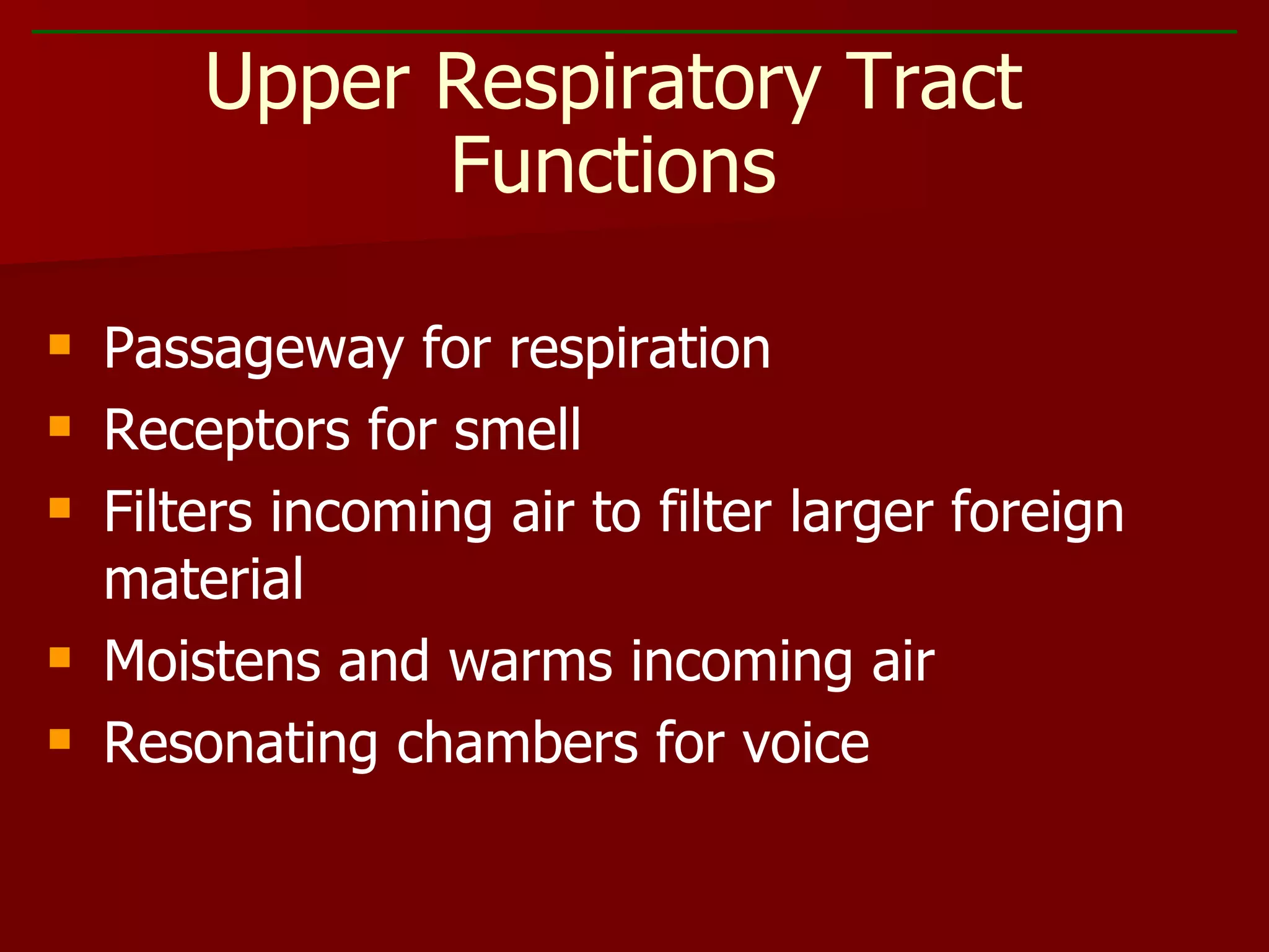 Passageway for respiration Receptors for smell Filters incoming air to filter larger foreign material Moistens and warms incoming air Resonating chambers for voice Upper Respiratory Tract Functions 