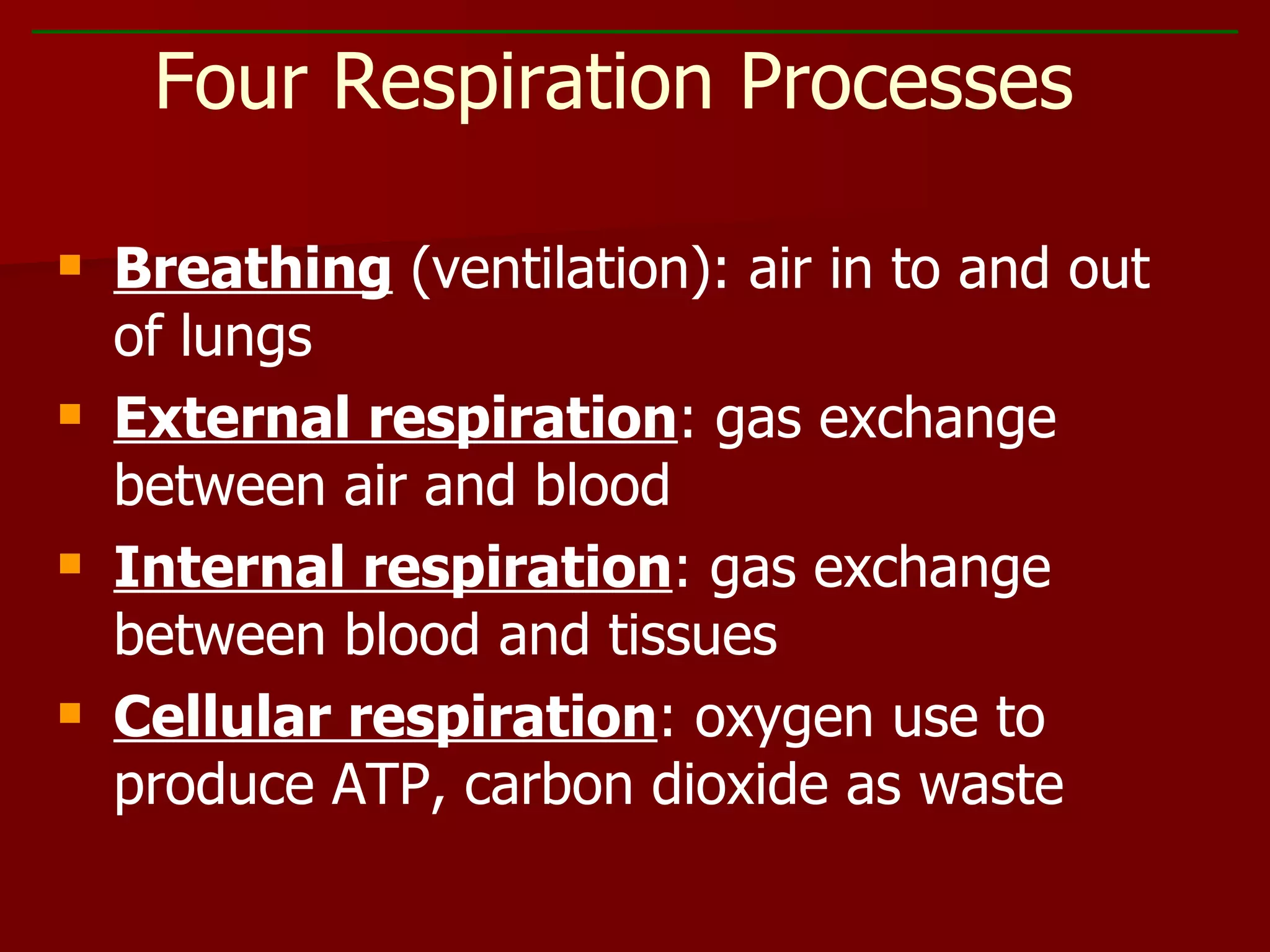 Breathing  (ventilation): air in to and out of lungs External respiration : gas exchange between air and blood Internal respiration : gas exchange between blood and tissues Cellular respiration : oxygen use to produce ATP, carbon dioxide as waste Four Respiration Processes 