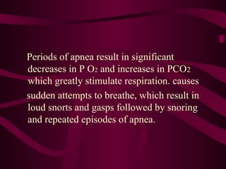Respiratory System Physiology | PPT