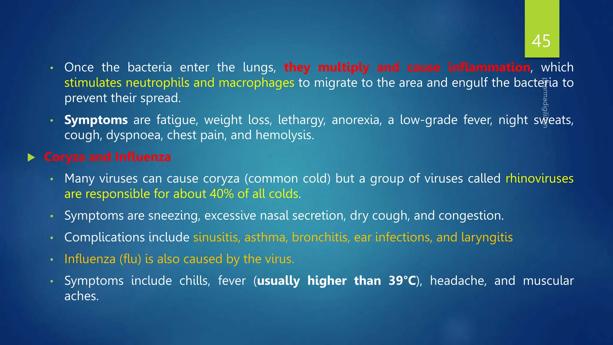 |HAP-II| Unit-3: Respiratory System. |Complete Notes|| | PPTX