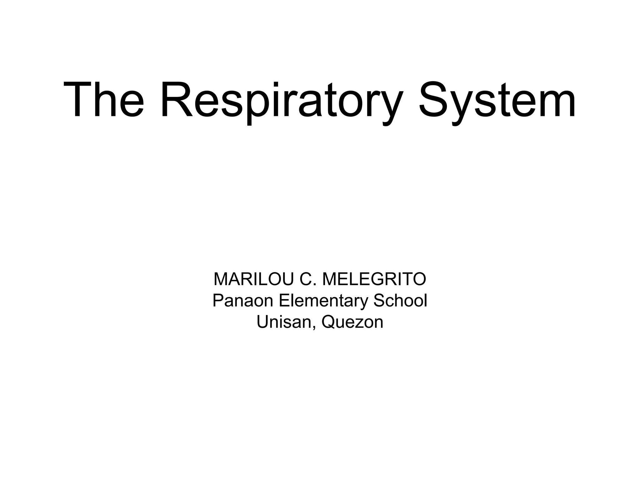 Respiratory System ppt.ppt forgrade six teachers | PPT