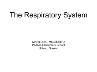 The Respiratory System
MARILOU C. MELEGRITO
Panaon Elementary School
Unisan, Quezon
 